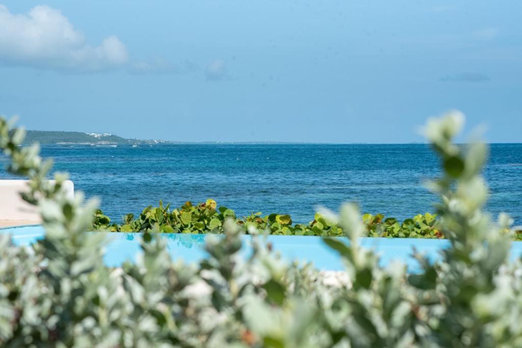 Apartamento Pasha - Ocean View Sainte-Anne  Exterior foto