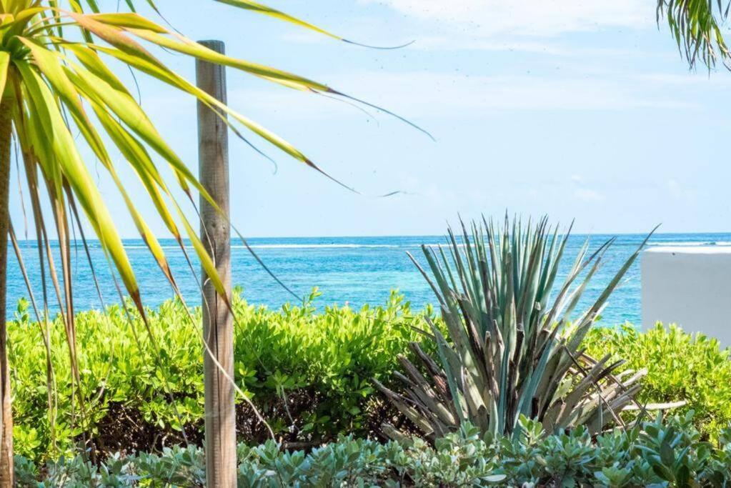 Apartamento Pasha - Ocean View Sainte-Anne  Exterior foto